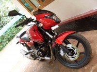 Cocktail Wine Red Bajaj Pulsar 200 DTSi