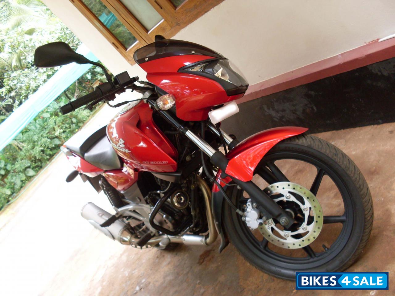 Cocktail Wine Red Bajaj Pulsar 200 DTSi