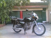 Moss Green Bajaj Caliber 115