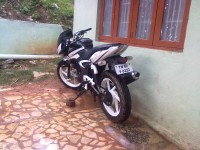 Black Bajaj Pulsar 200 DTSi