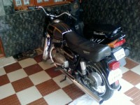 Black With Gold Stripes Ideal Jawa Yezdi Deluxe