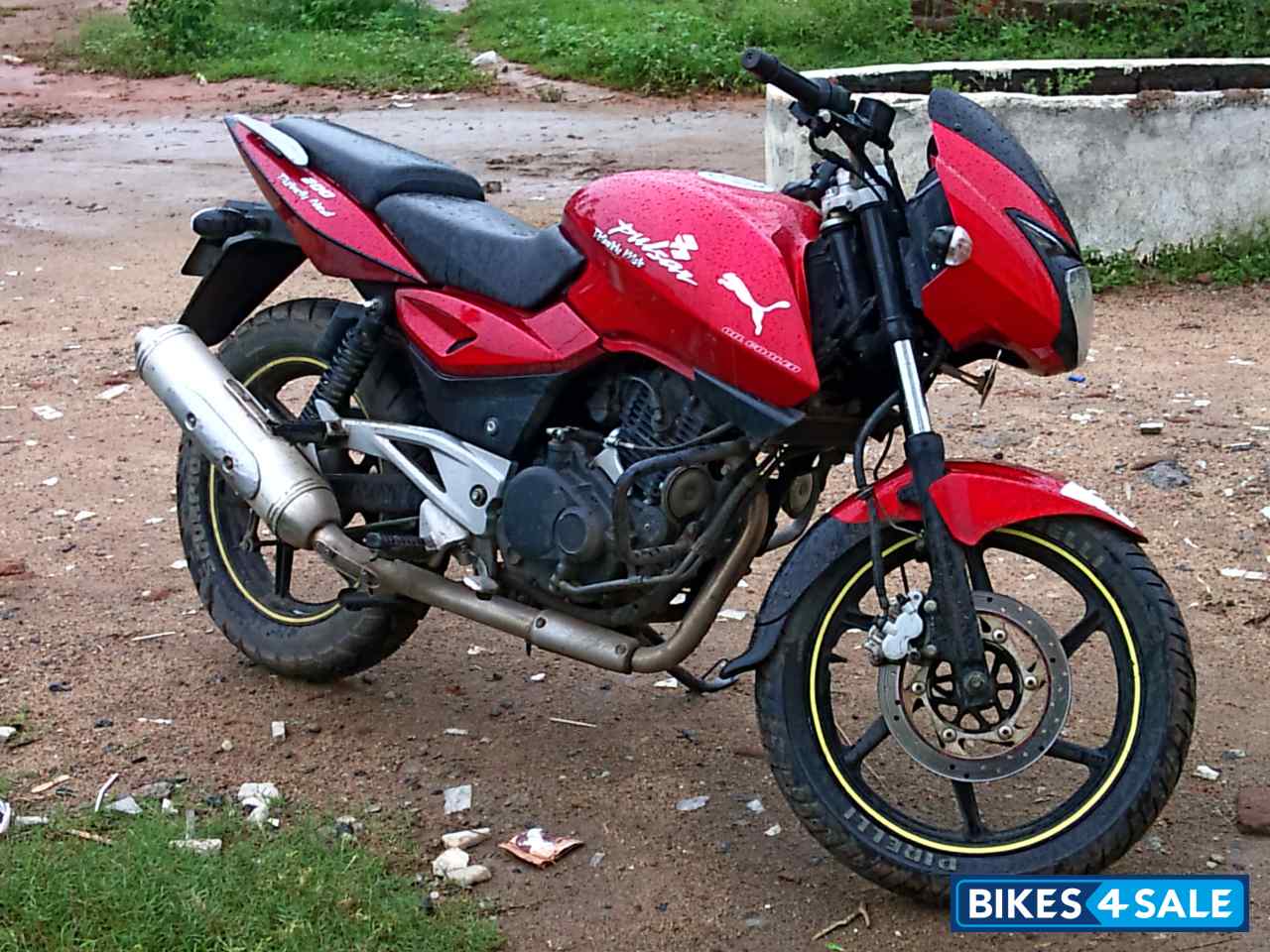 Cocktail Red Bajaj Pulsar 200 DTSi