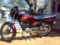 Meroon Red Yamaha YBX