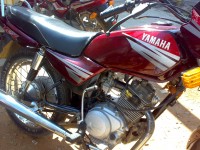 Meroon Red Yamaha YBX