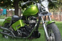 Parrot Green Royal Enfield Bullet Machismo 350 Old