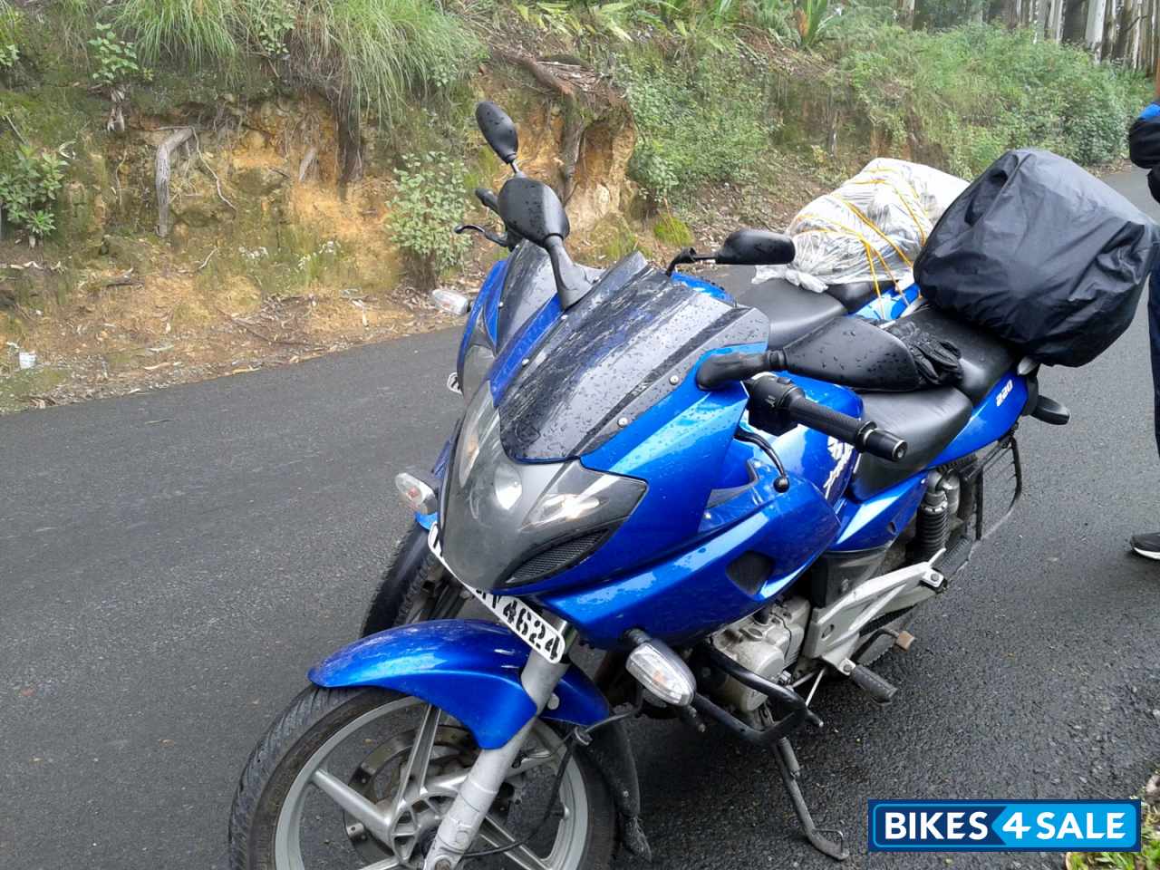 Long Beach Blue Bajaj Pulsar 220 DTSFi