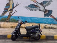 Black Honda Activa