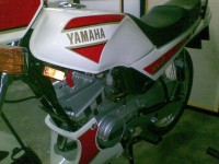 White Yamaha RXZ