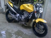 Metallic Yellow Honda  Hornet 900