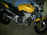 Metallic Yellow Honda  Hornet 900