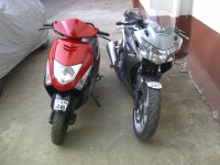 Red Honda Dio