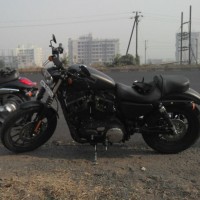 Black Harley Davidson Iron 883