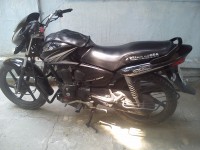 Black With Grey Stripes Honda Shine