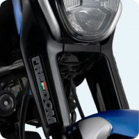 Bajaj Freedom 125 NG04 Disc LED