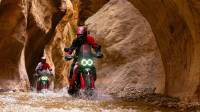 Ducati DesertX Rally