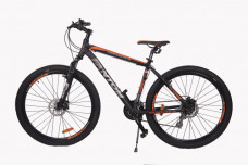 Fantom Terrano Plus 29er