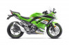 Kawasaki Ninja 300 2025