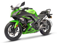 Kawasaki Ninja 300 BS6 2024