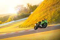 Kawasaki Ninja ZX-4RR 2025