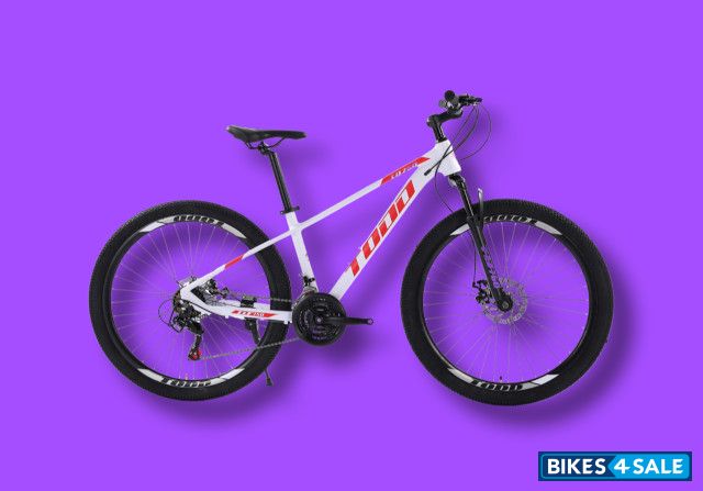 Totem mtb online review