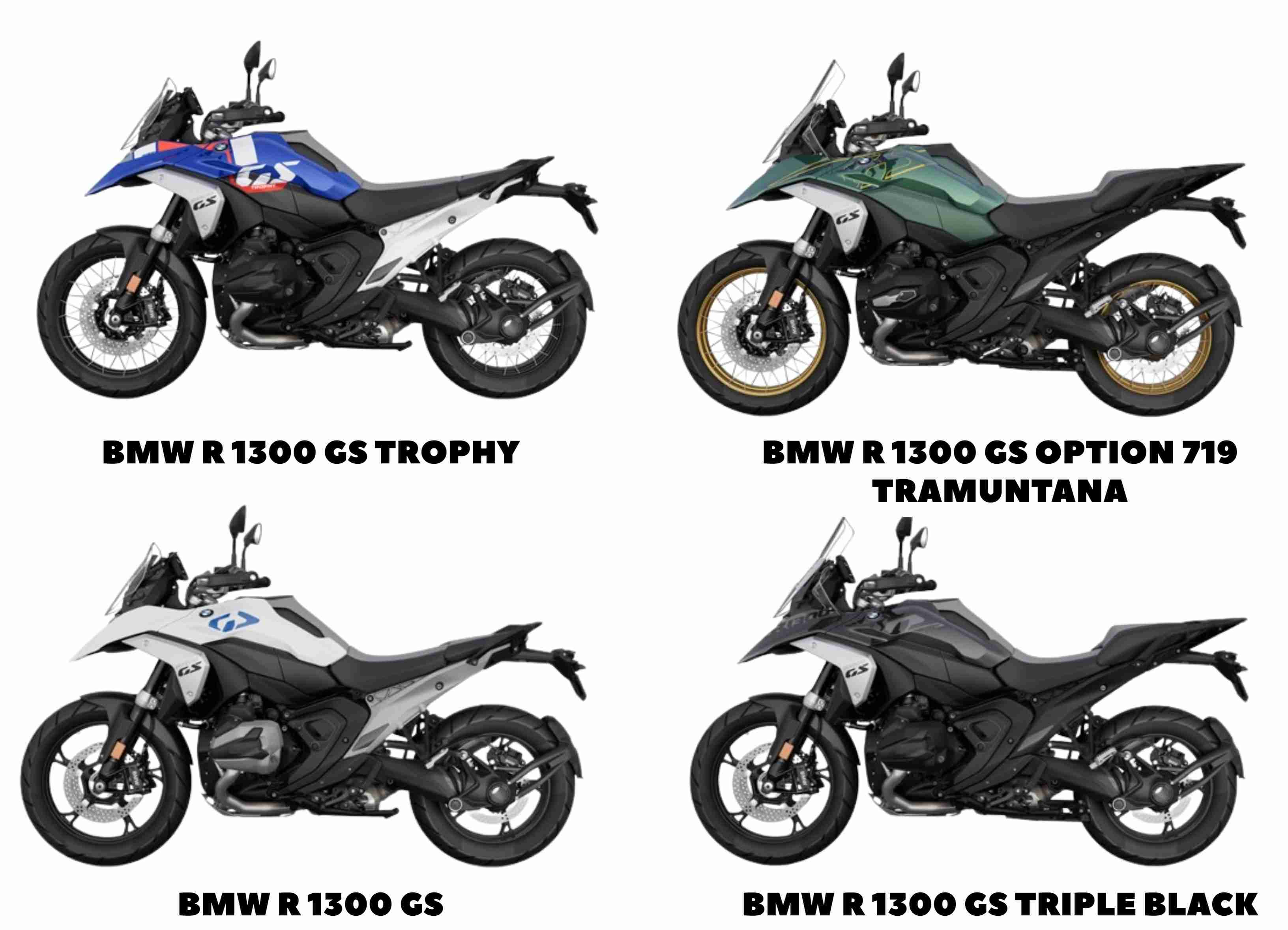 Bmw R 1300 Gs Variants